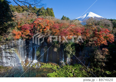 富士山と紅葉の白糸の滝 8974020