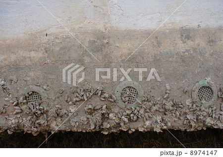 船底に付着した貝、フジツボ、海草 8974147