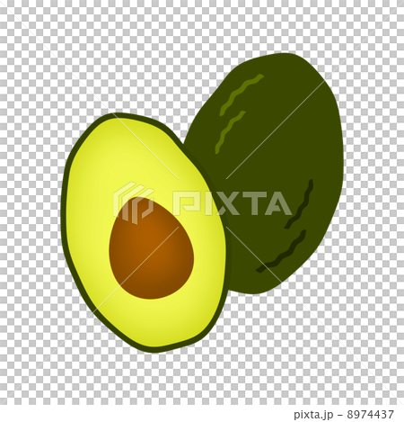 Avocado Avocado 8974437