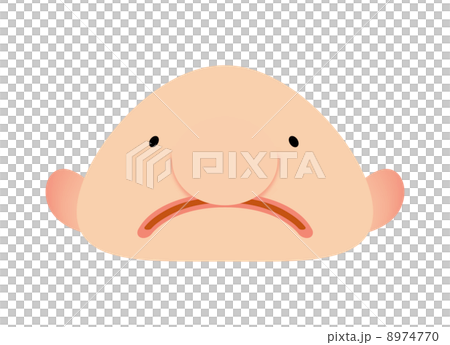 ブロブフィッシュ 8974770