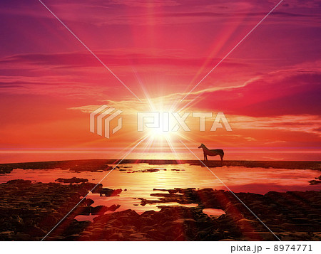 日の出と馬 8974771