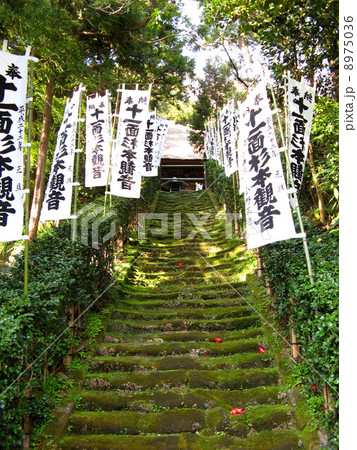 鎌倉杉本寺 8975036