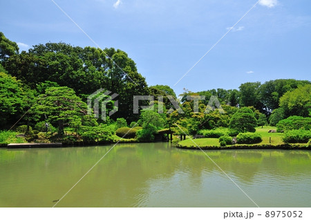 初夏の六義園 初夏の六義園 8975052