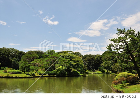 六義園 8975053