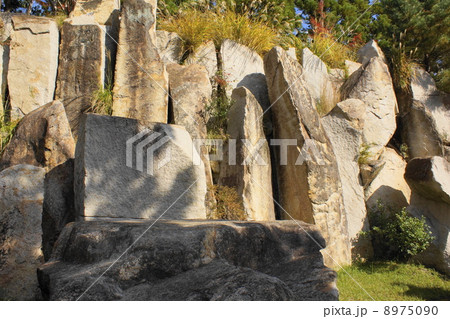 巨大石群 8975090