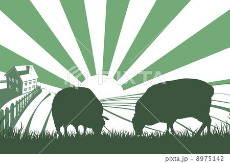 Sheep Farm Sunrise Landscape Sheep Farm Sunrise Landscape 8975142