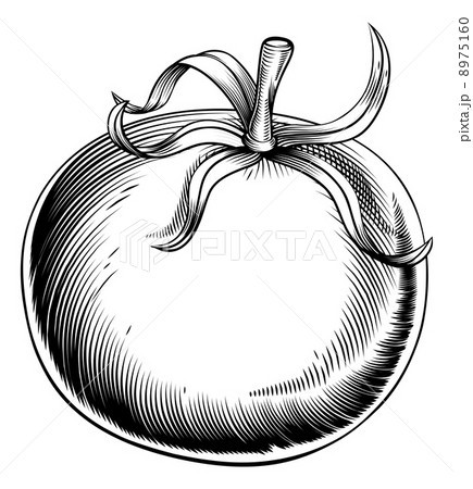 Vintage retro woodcut tomato 8975160