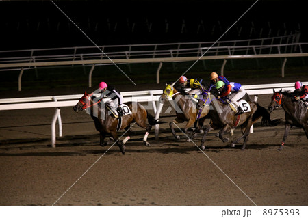 雨のナイター競馬 8975393