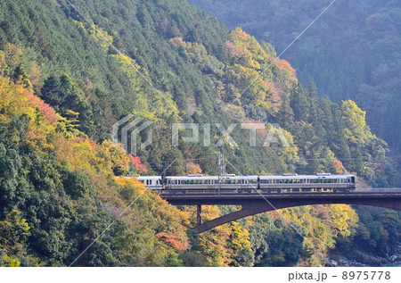 　鉄道　　列車　　山陰本線　　京都口　　紅葉　　もみじ　　保津峡～亀岡　保津峡　渓谷　秋　普通　ローカル　JR西日本　223系　221系 8975778