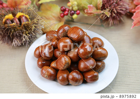 焼き栗 8975892