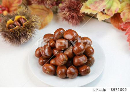 焼き栗 8975896