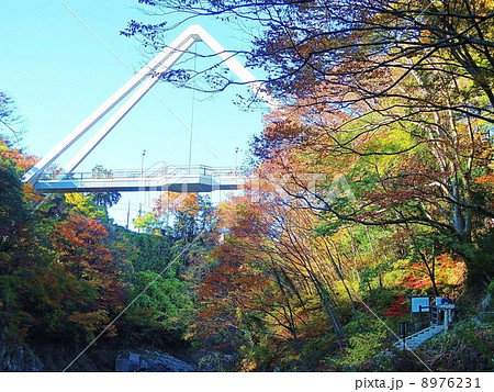 高津戸峡 紅葉に映えるはねたき橋の写真素材