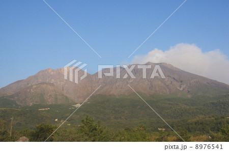 噴煙を上げる桜島 8976541