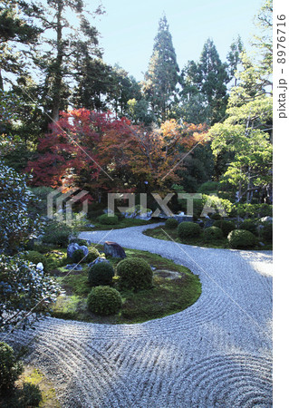 曼殊院庭園 曼殊院庭園 8976716