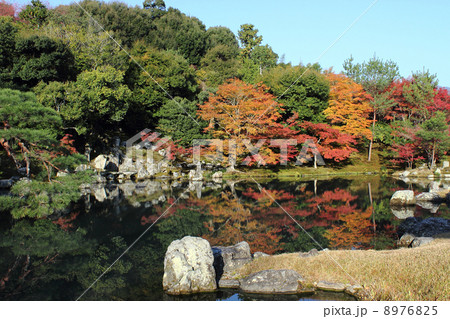 京都 天龍寺 曹源池庭園 京都 天龍寺 曹源池庭園 8976825