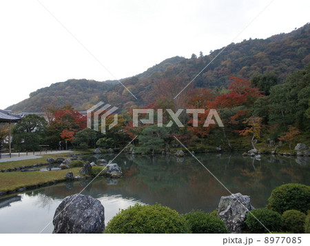 庭園(京都) 庭園(京都) 8977085