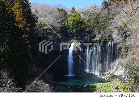 静岡・富士宮 「白糸の滝」 8977156
