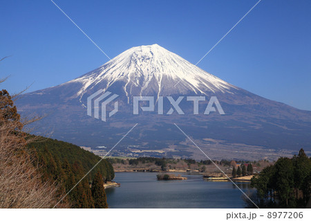 世界文化遺産 「富士山」 8977206
