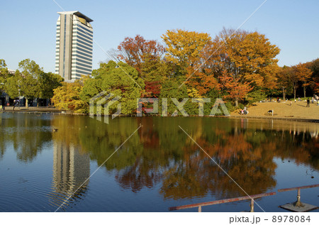 紅葉の公園 - 多摩センター 8978084