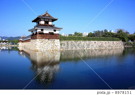 広島城 8978151