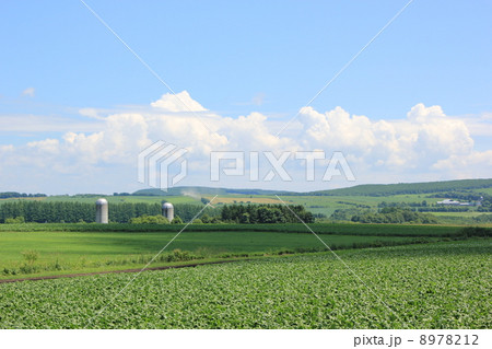 北海道上士幌の風景 北海道上士幌の風景 8978212