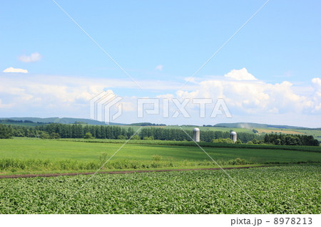 北海道上士幌の風景 8978213