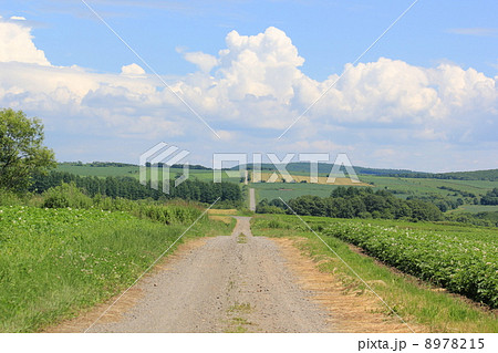 北海道上士幌の風景 北海道上士幌の風景 8978215