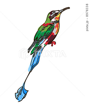Vector drawing of the bird Vector drawing of the bird 8978338