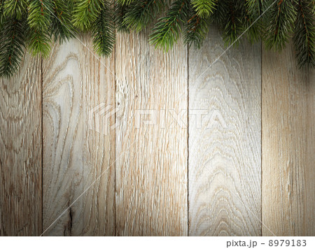 Christmas fir tree on wood texture. background old panels 8979183