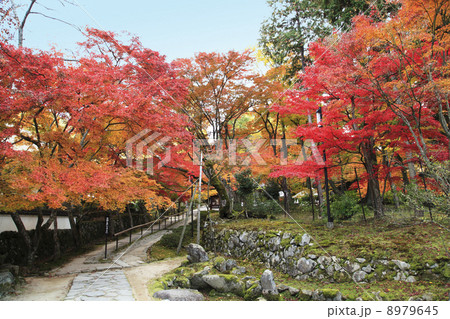 金剛輪寺参道 8979645
