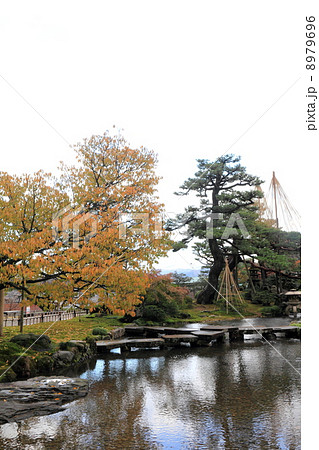 秋の兼六園(雁行橋) 秋の兼六園(雁行橋) 8979696