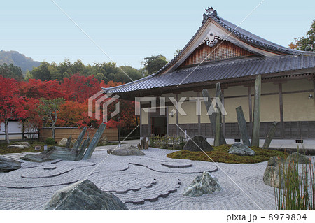 圓光寺奔龍庭 8979804