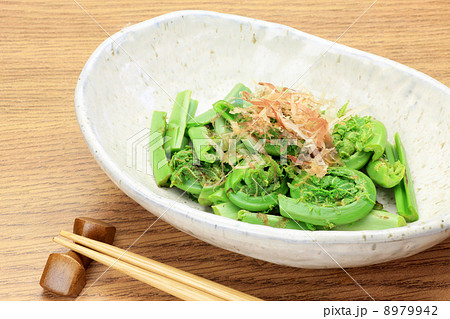 コゴミ コゴミ 8979942