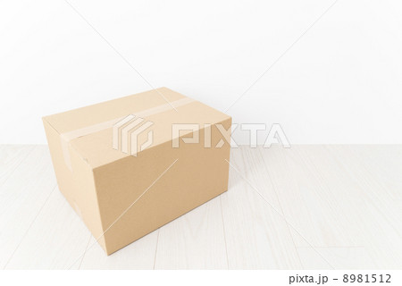 荷物 8981512