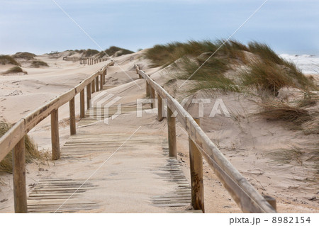 Wooden footpath through dunes at the ocean beach Wooden footpath through dunes at the ocean beach 8982154