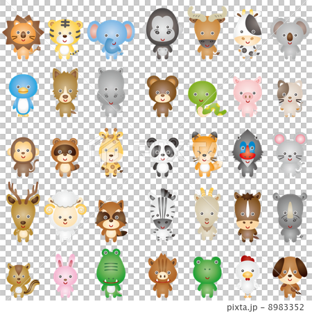 動物　ライオン　象　ゾウ 8983352