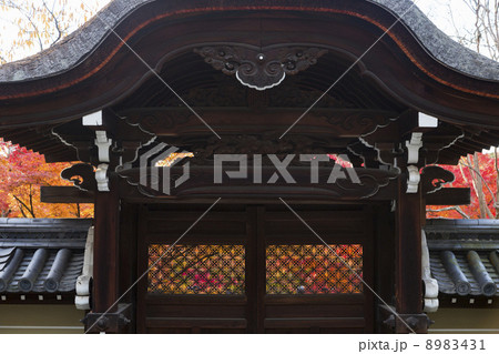 永観堂の門 8983431