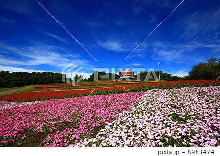 網走市　はなてんと 8983474