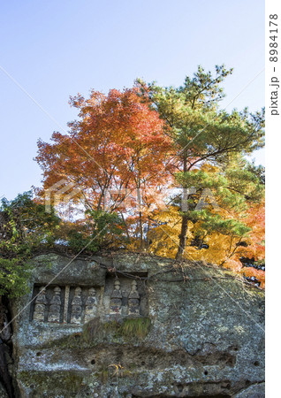 松島、見佛堂跡と紅葉 8984178