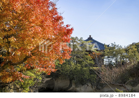 松島の紅葉と五大堂 松島の紅葉と五大堂 8984184