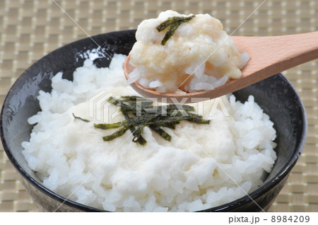 とろろご飯 8984209