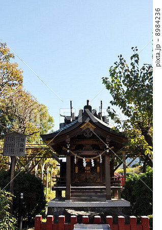 亀戸天神社　紅梅殿 8984236