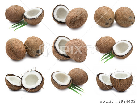 Coconuts 8984405
