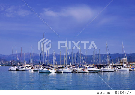 初夏のヨットハーバー 8984577