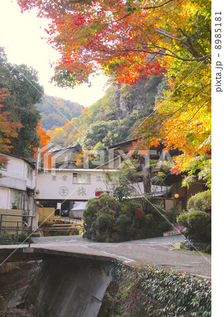 武田尾温泉の紅葉（武庫川上流）「新西宮観光100選」 8985181