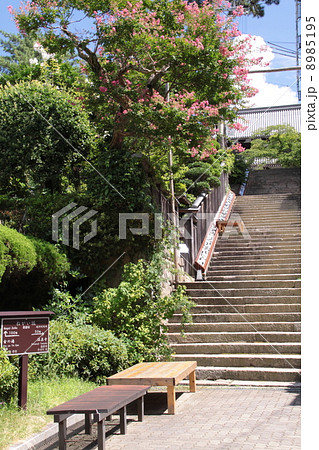 有馬温泉街にある「ねがい坂」（温泉寺参道） 8985195