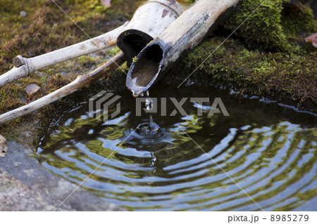 手水鉢 手水鉢 8985279