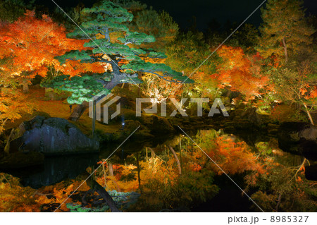 由志園の紅葉と池 由志園の紅葉と池 8985327