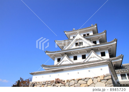 11月岐阜 郡上八幡城・天守 8985720