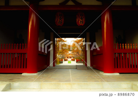 長野県茅野市の聖光寺 長野県茅野市の聖光寺 8986870